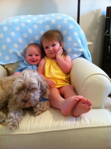All my sweeties! photo 2