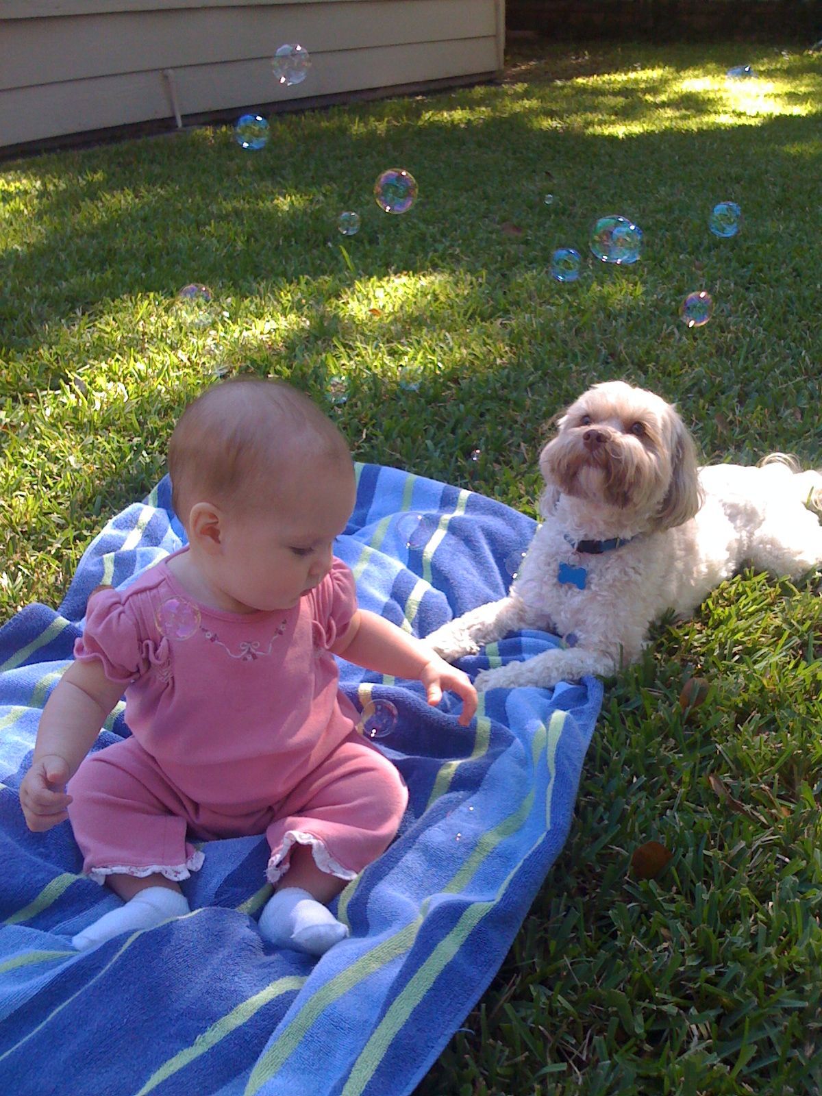 Bubbles photo 2
