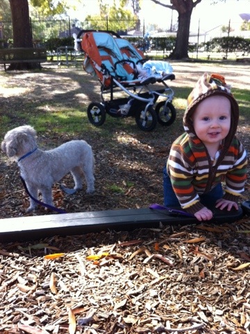 Chilly day at the park photo 1