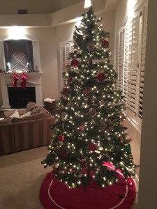Christmas is almost here! photo 1