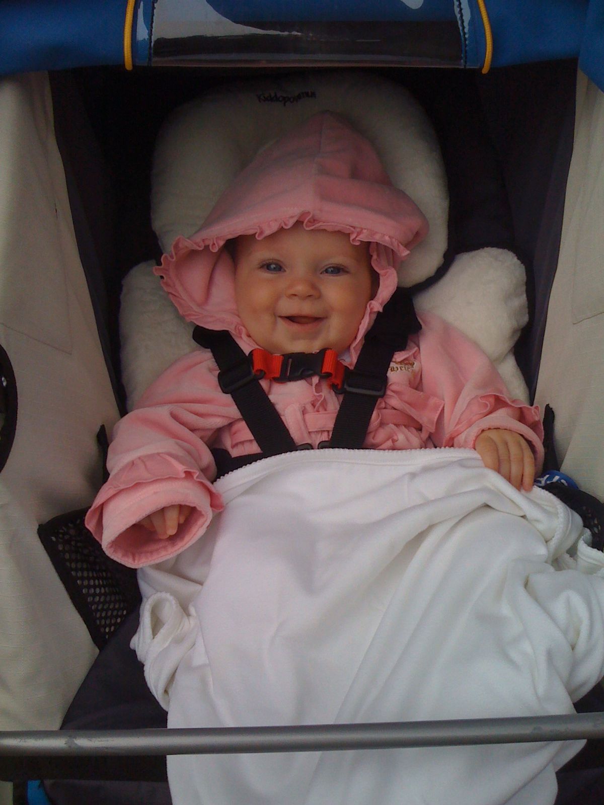 Cold morning photo 1