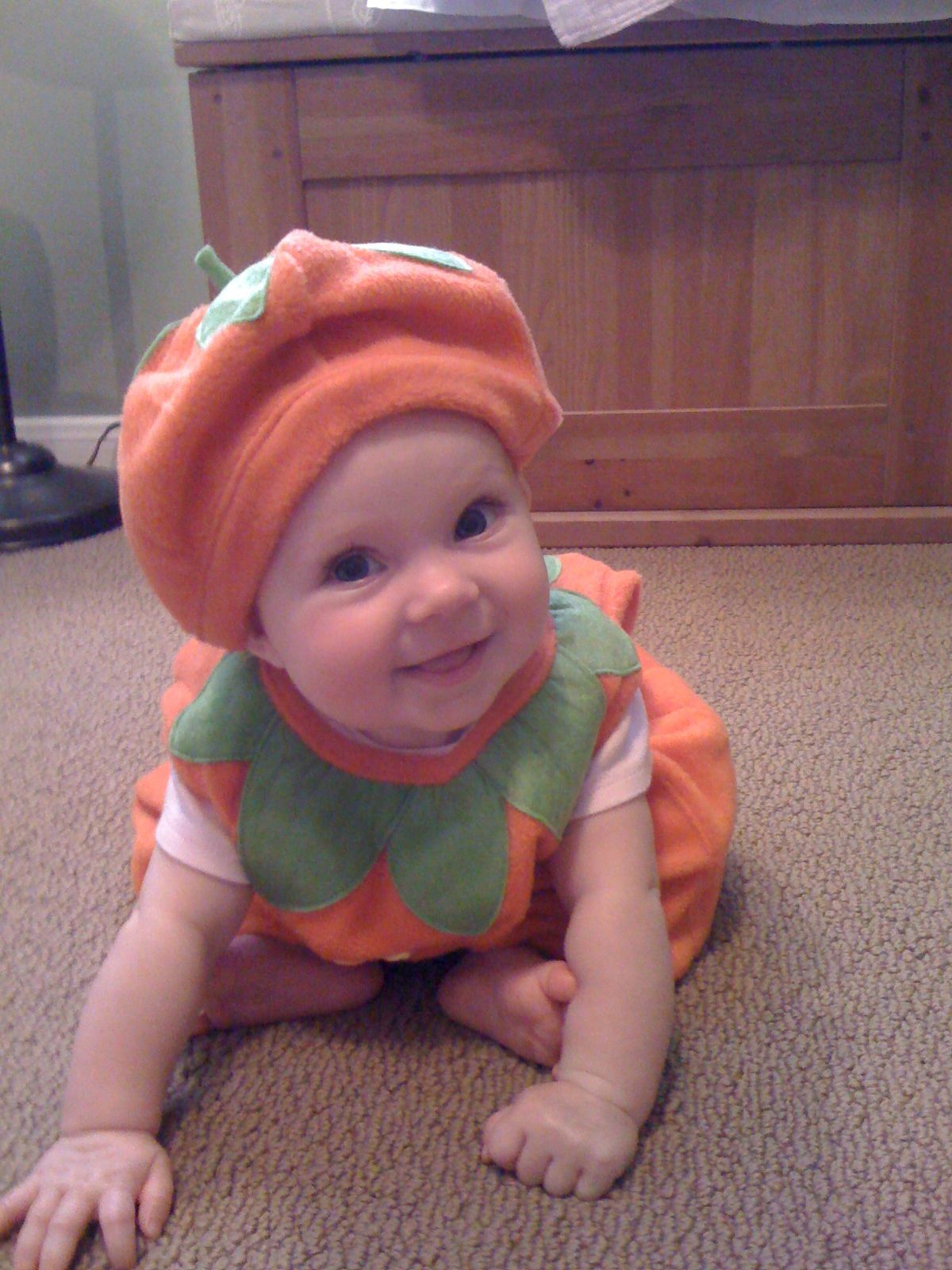 Halloween sneak preview photo 1