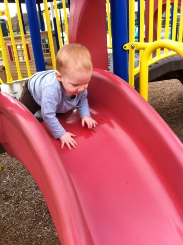 Just Mark at the Park photo 3