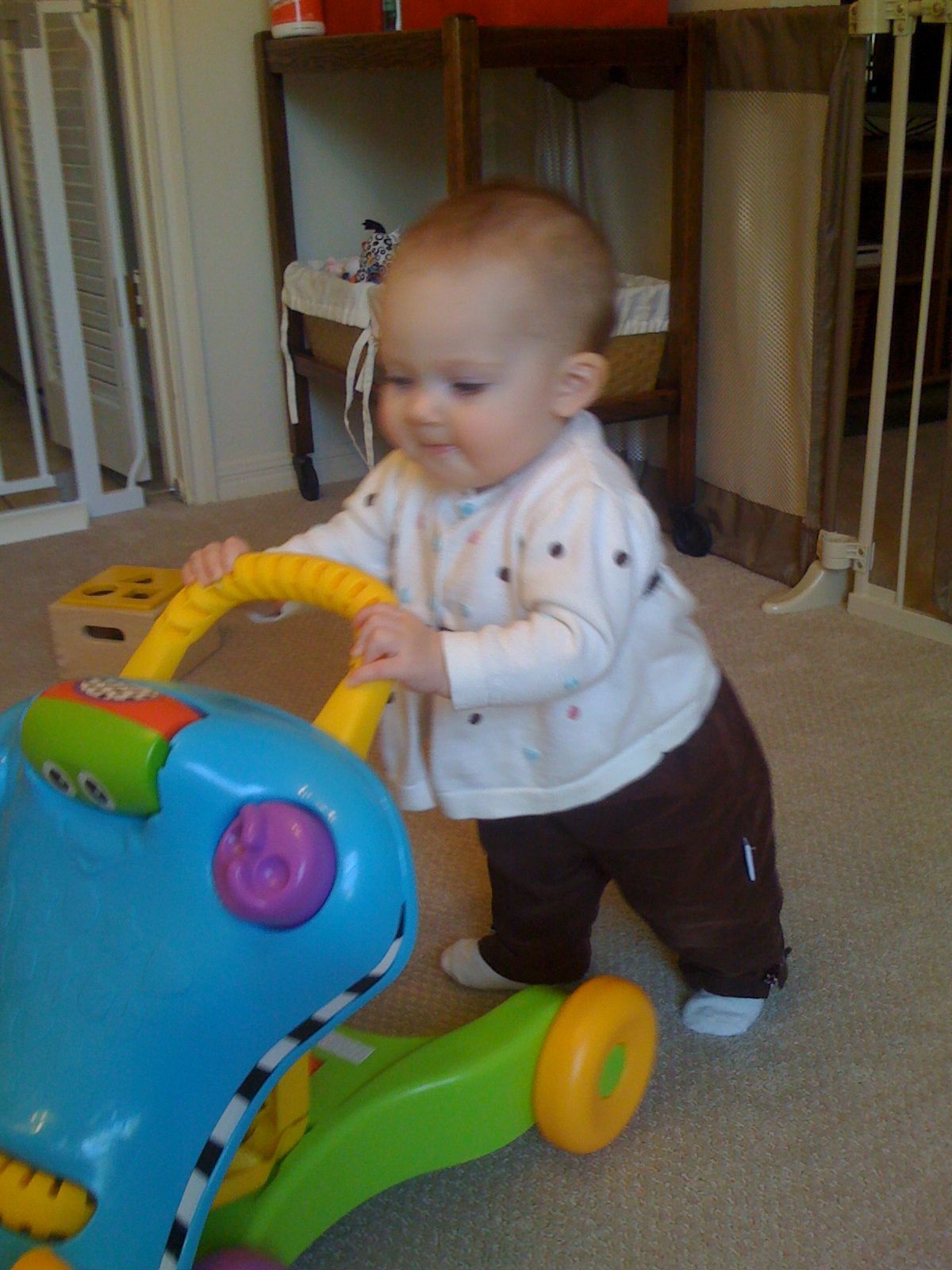 Look at me go! photo 3