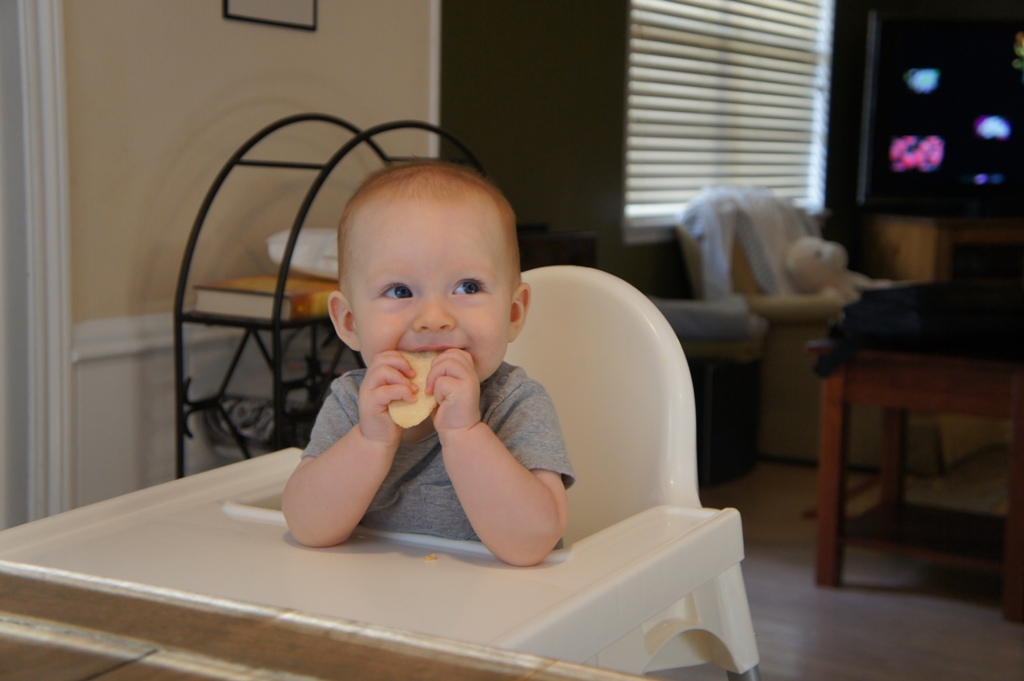 Mark - 6 (almost 7) months photo 1