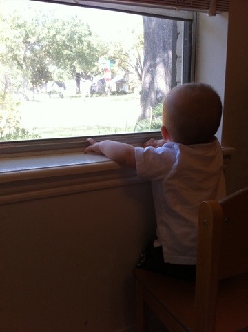 Mark at the window photo 1