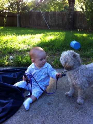 Mark is 10 months! photo 1