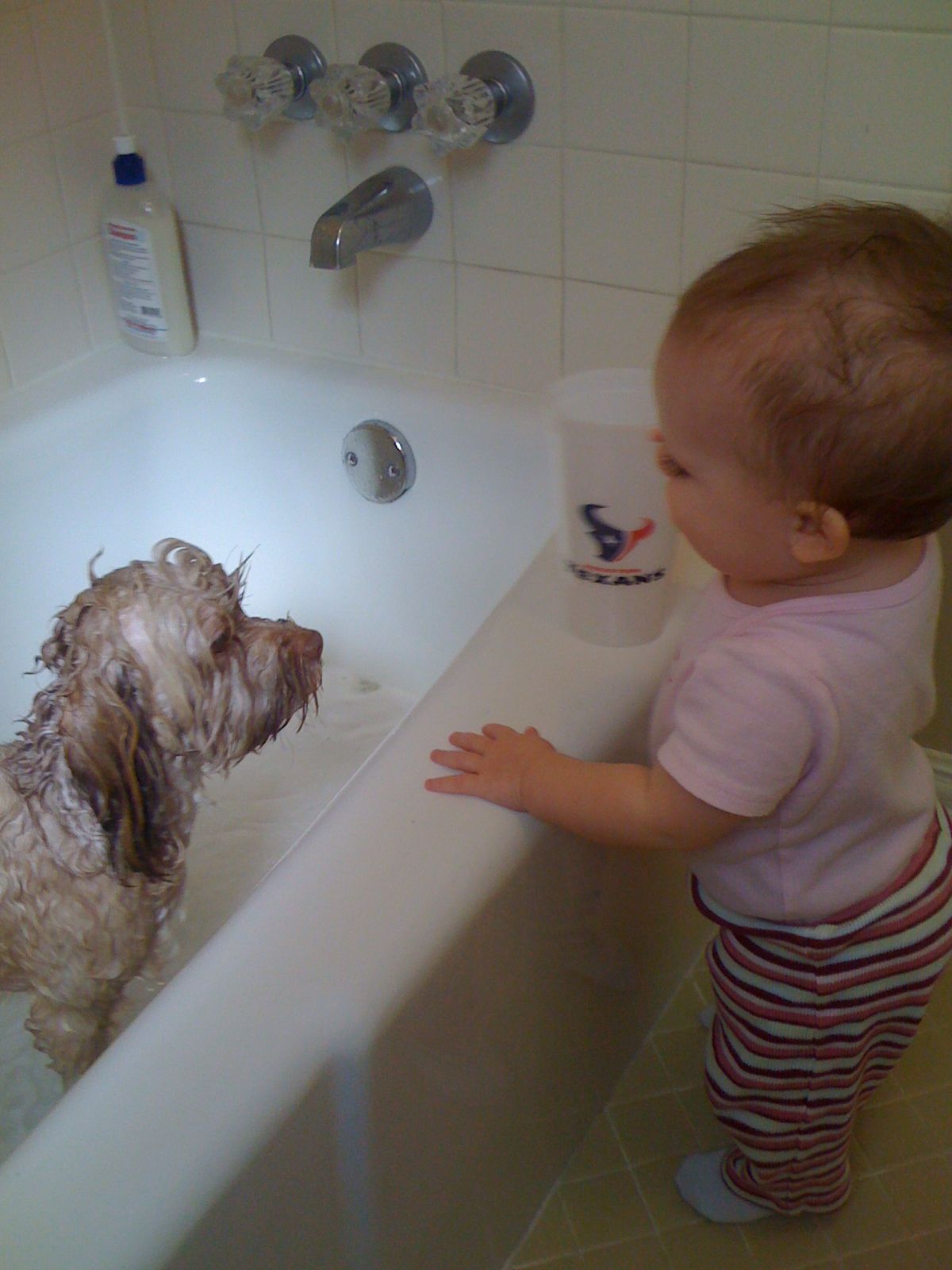 Mella gets a bath photo 1