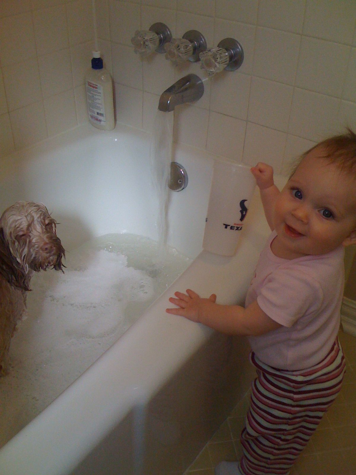 Mella gets a bath photo 2