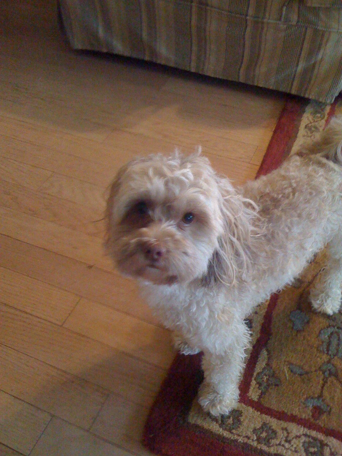 Mella gets a bath photo 3