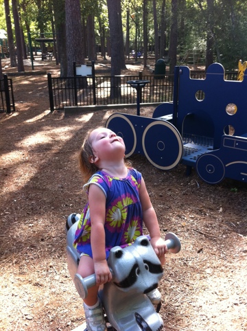 Morning at the park and library photo 2