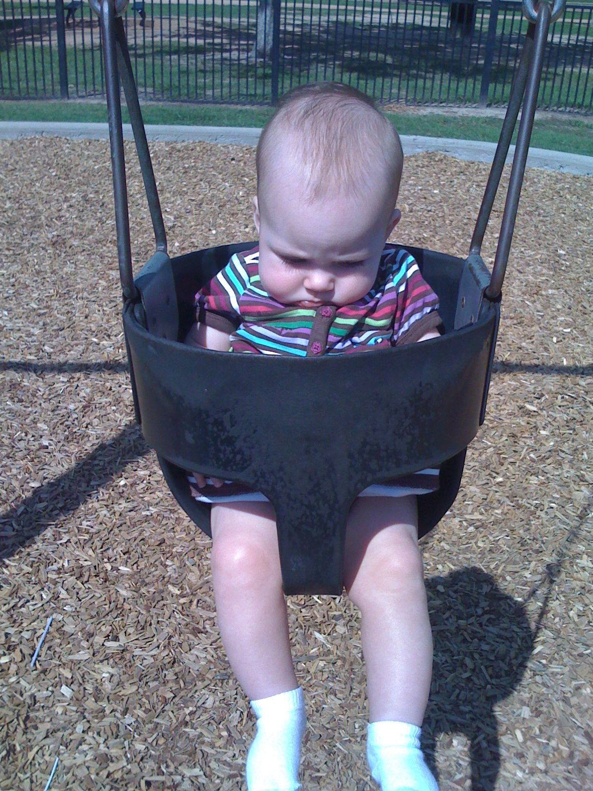 Nottingham Park photo 2