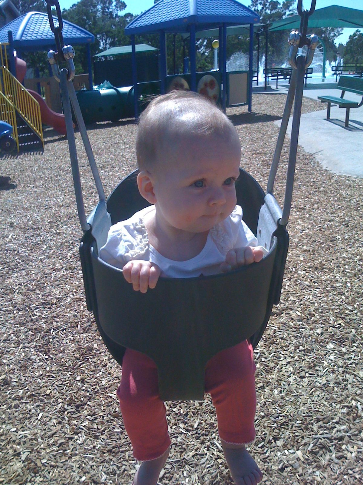 Perfect day for the park photo 1