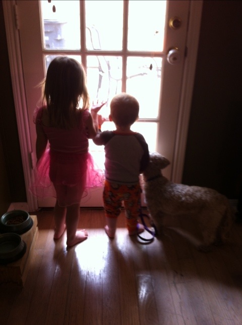 Pest control and ballet photo 1