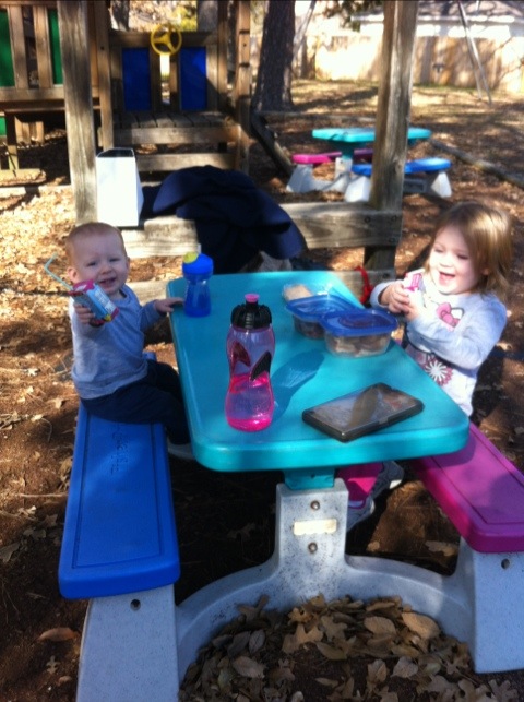 Picnic at the park photo 1