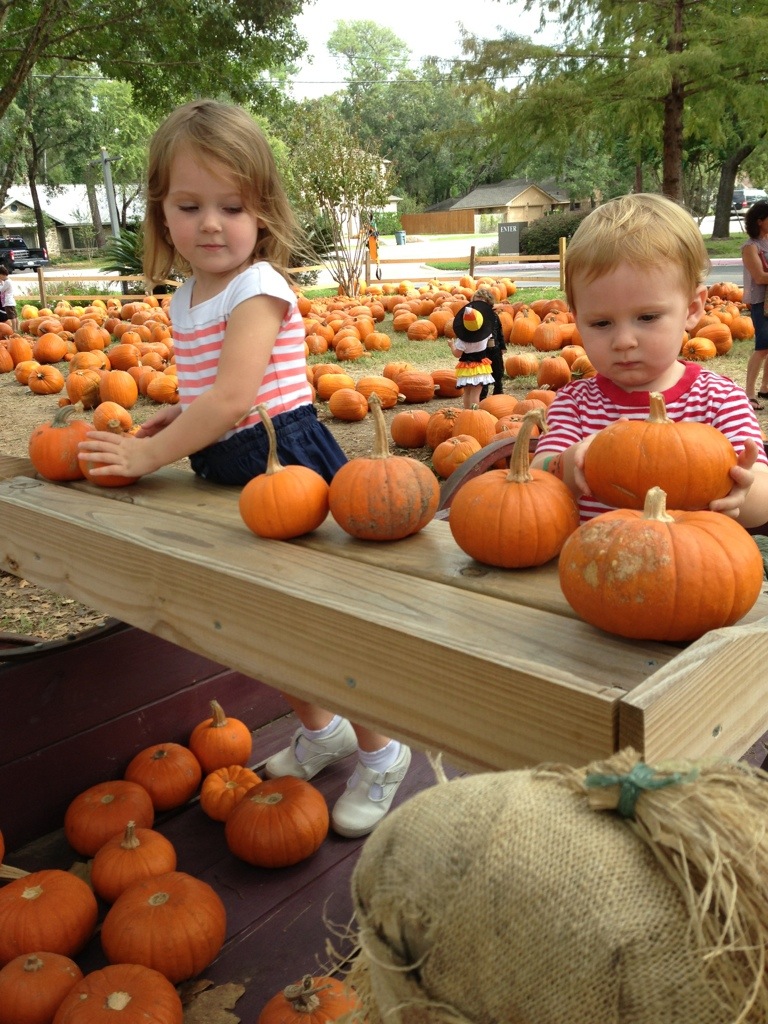 Pumpkin Patch photo 1