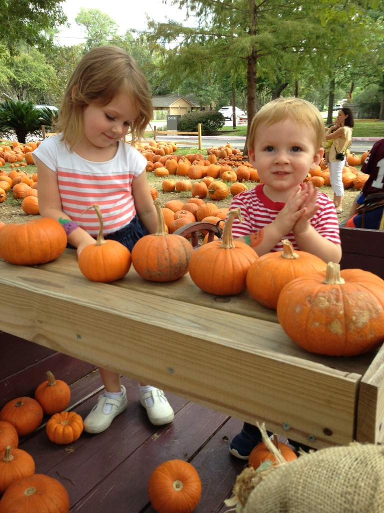 Pumpkin Patch photo 2