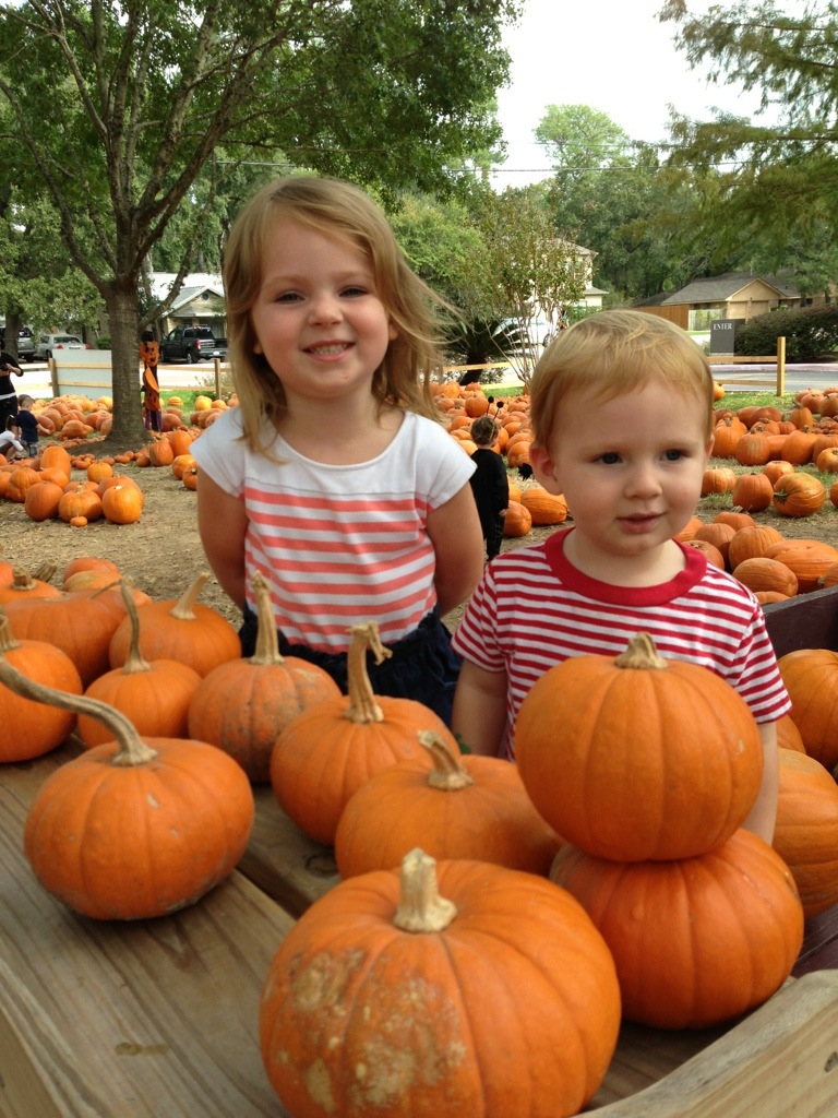 Pumpkin Patch photo 3
