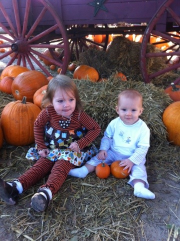 Pumpkin patch photo 1