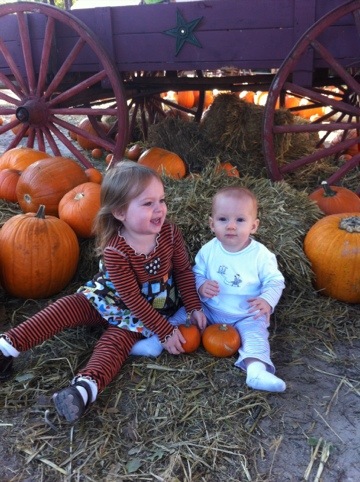 Pumpkin patch photo 3