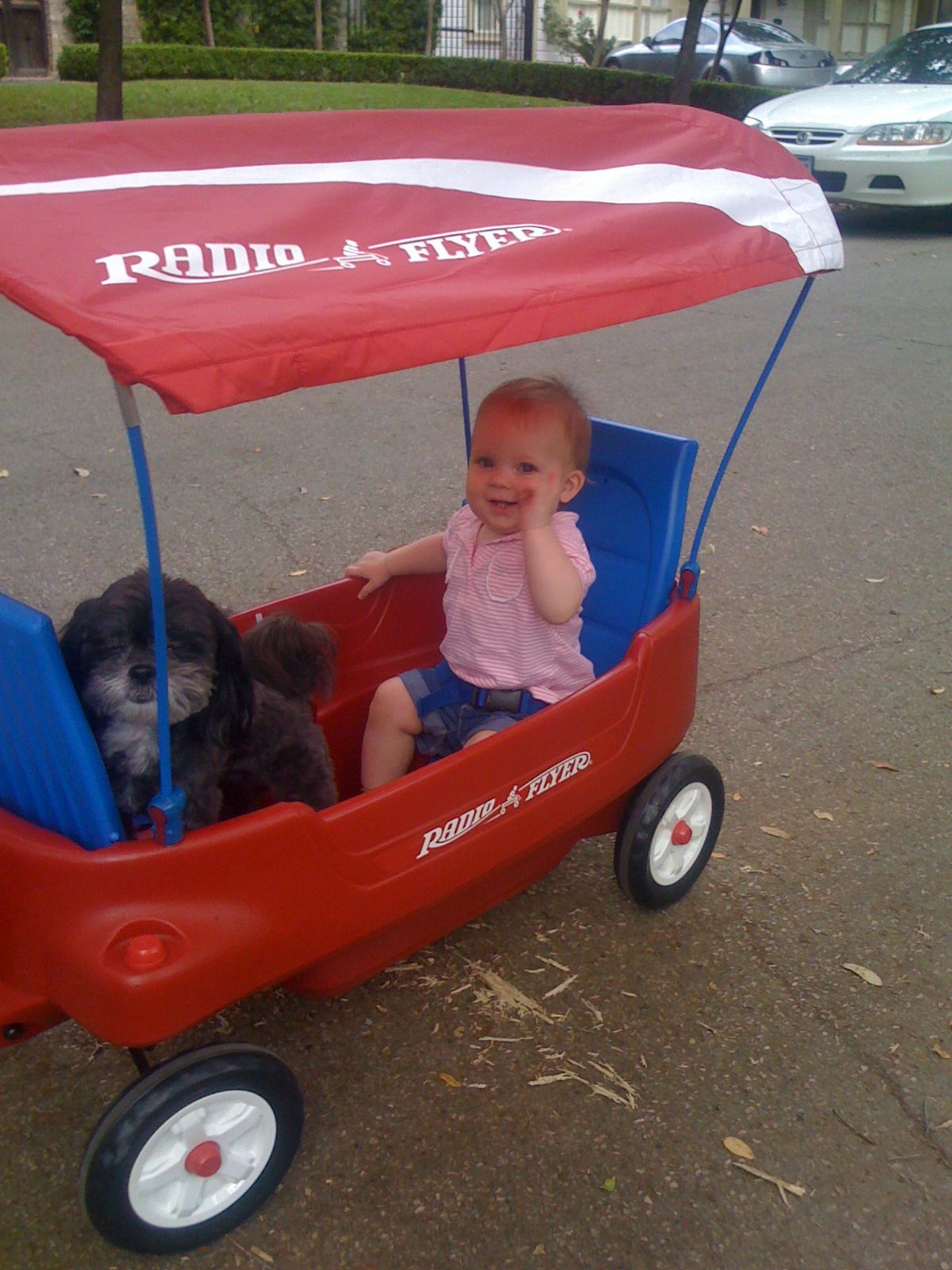 Radio Flyer photo 1
