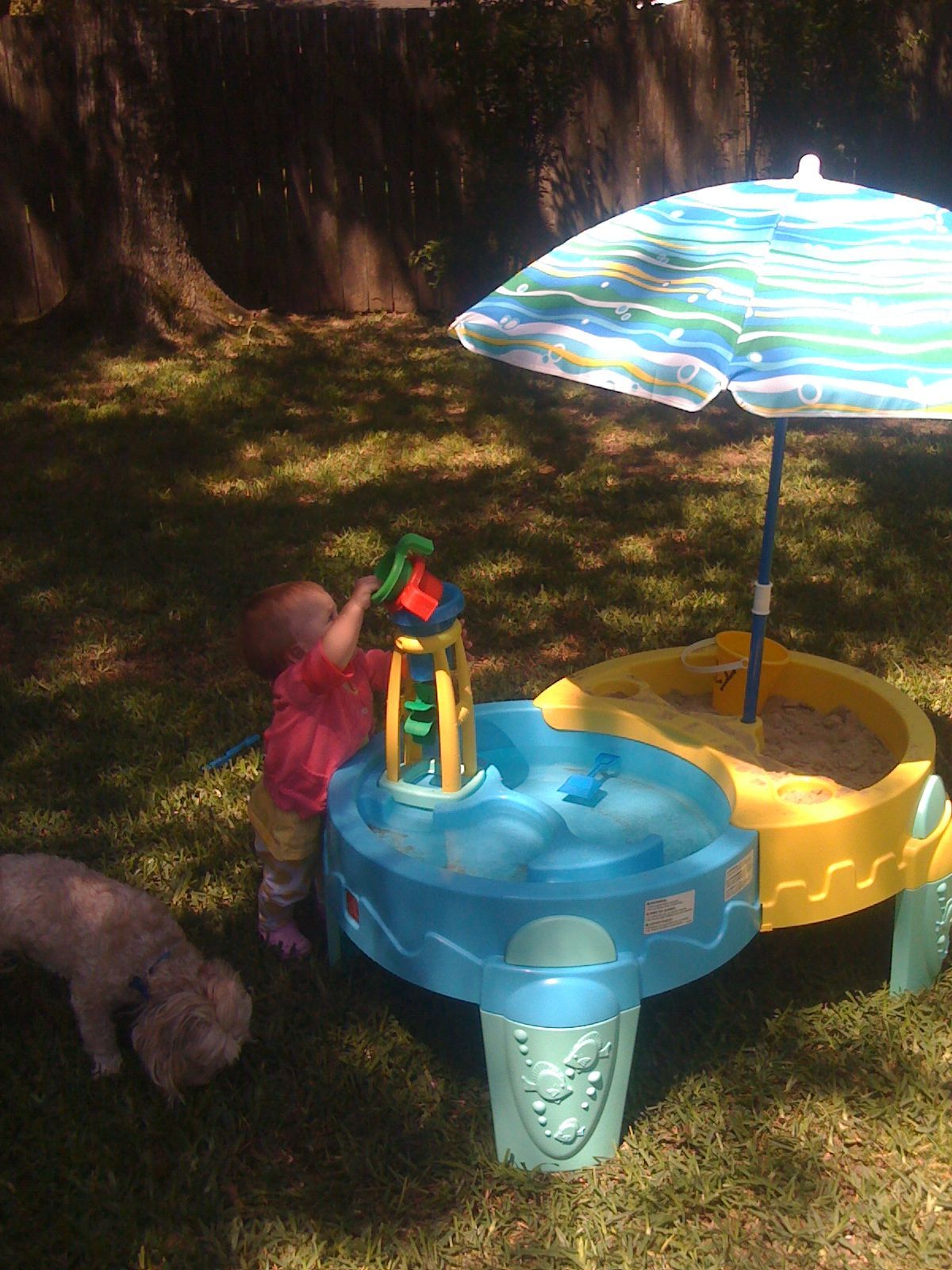 Sand and water table photo 1