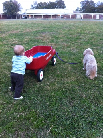 Saturday at the soccer fields photo 3