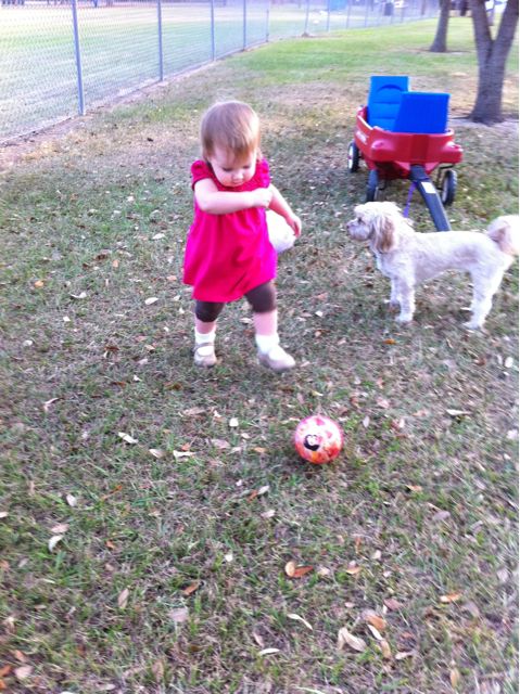 Soccer photo 3