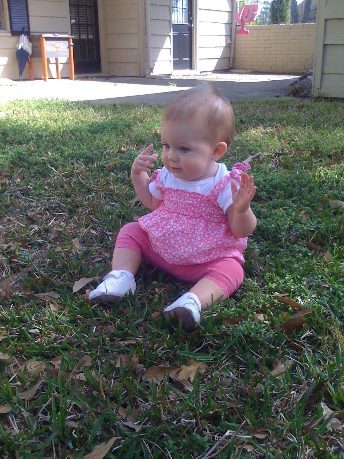 Spring is here! photo 1