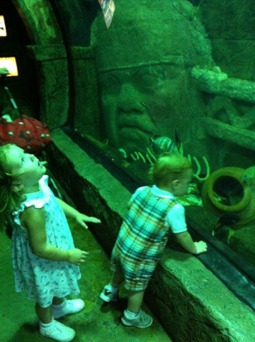 The Aquarium photo 2