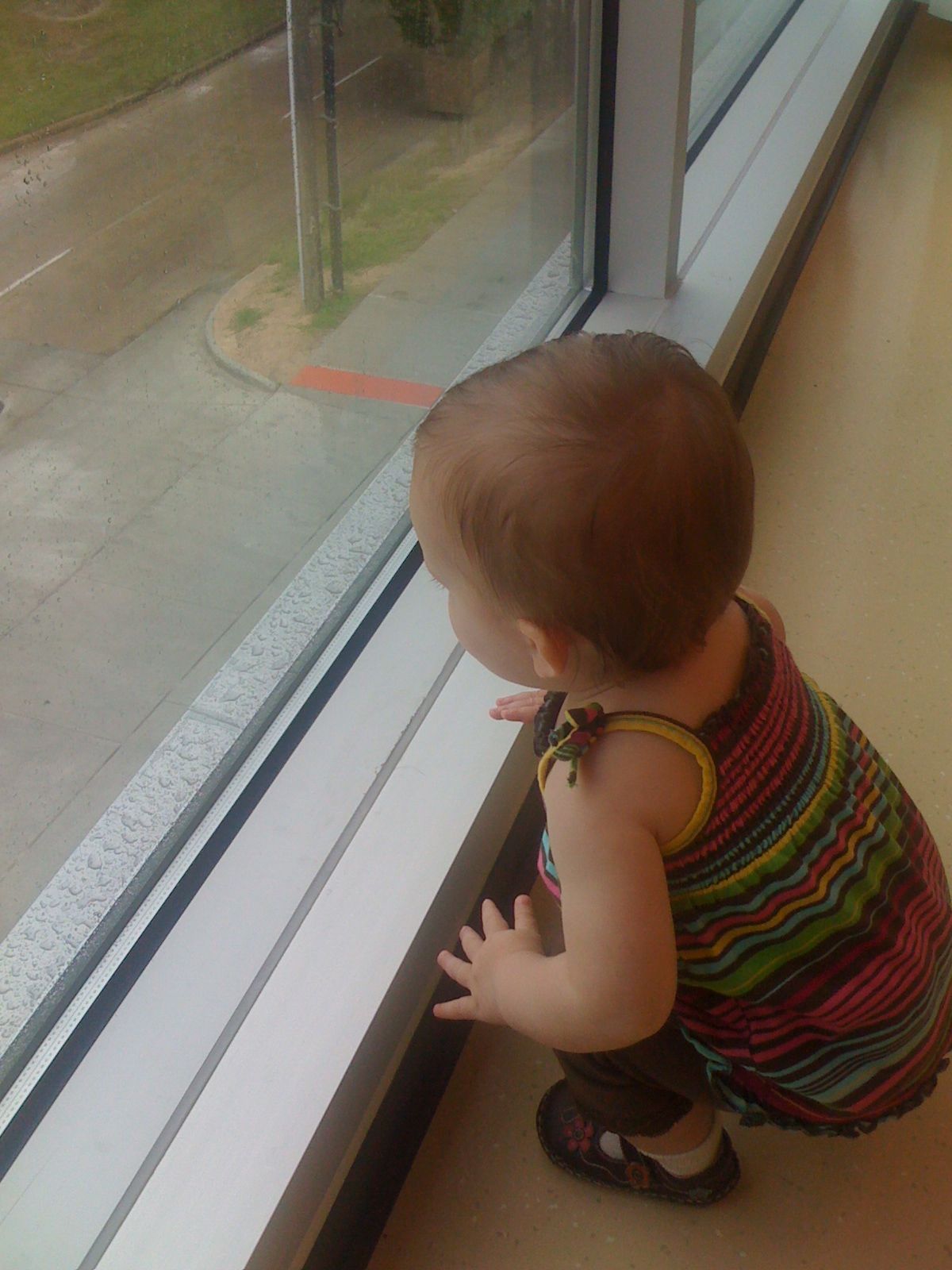 The new Kendall Branch Library photo 2
