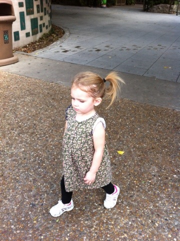 The real Zoo photo 1