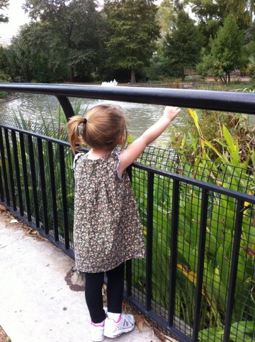 The real Zoo photo 2