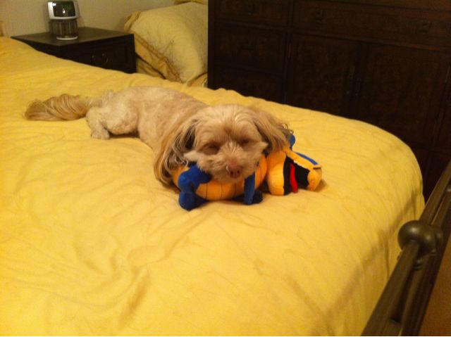 This one is MINE photo 1