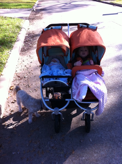 Wednesday morning photo 2
