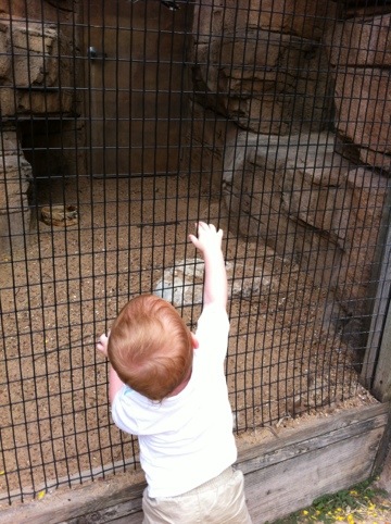 Zoo again photo 1