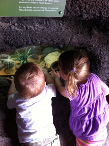 Zoo again photo 2