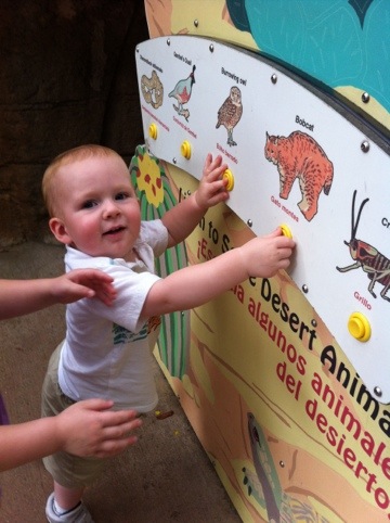 Zoo again photo 3