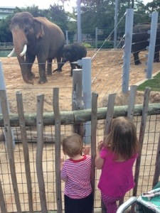 Zoo Trip photo 2