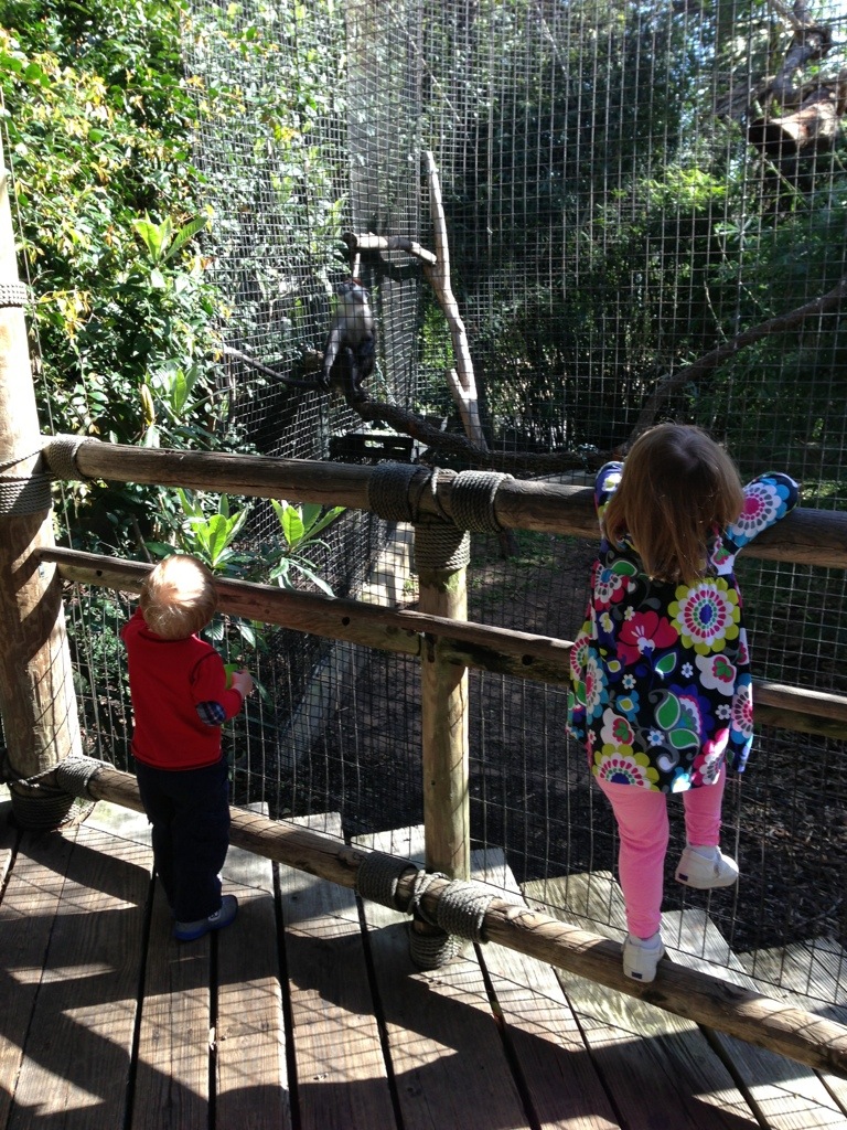 Zoo weather photo 1