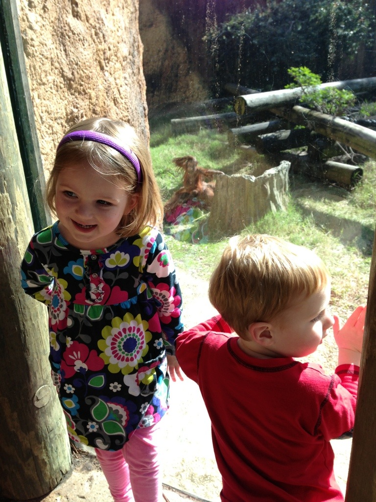 Zoo weather photo 2