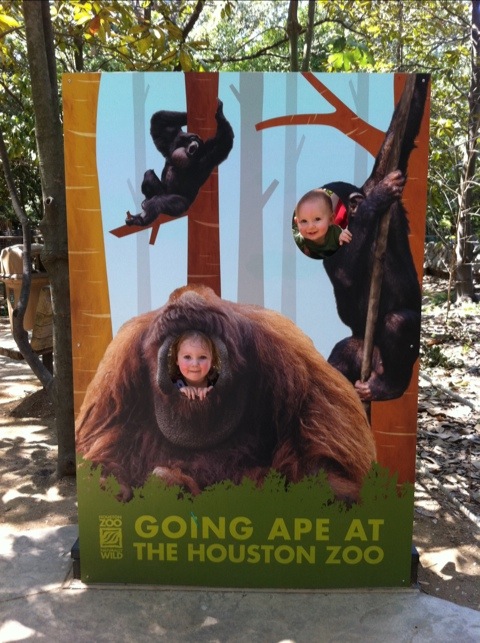 Zoo  photo 1